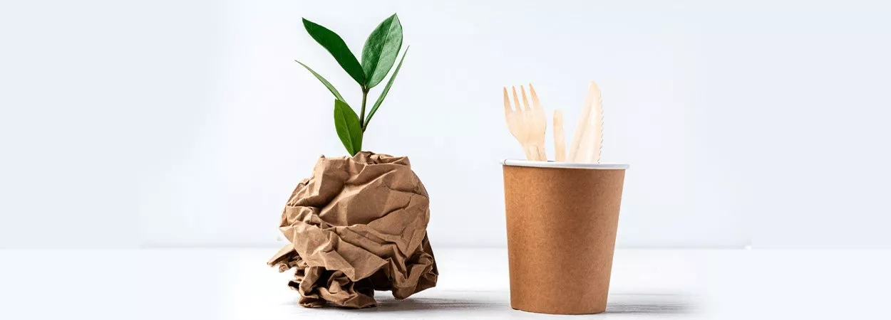 Compostable-Food-Packaging